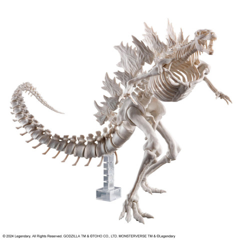 MODEL KIT GODZILLA x KONG THE NEW EMPIRE - GODZILLA (2024) - Galeria zdjęcie 3