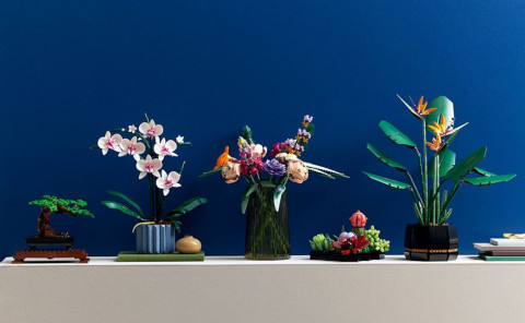 LEGO Icons 10311 Orchidea - Galeria zdjęcie 7