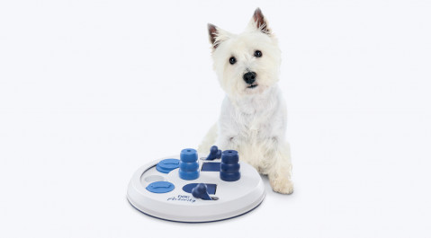 TRIXIE Dog Activity Flip Board zabawka dla psa - Galeria zdjęcie 2