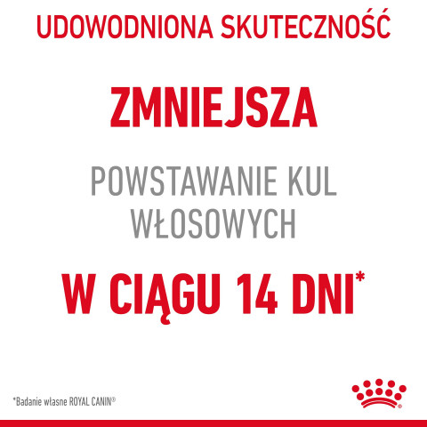 ROYAL CANIN Hairball Care Adult - sucha karma dla kota - 400g - Galeria zdjęcie 2