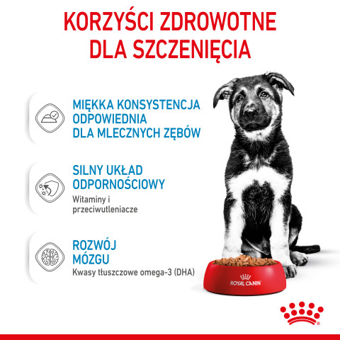 ROYAL CANIN SHN Maxi Puppy w sosie - mokra karma dla szczeniąt - 10x140 g - Galeria zdjęcie 10