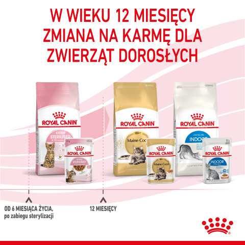 ROYAL CANIN FHN Kitten Sterilised w sosie - mokra karma dla kociąt - 12x85 g - Galeria zdjęcie 10