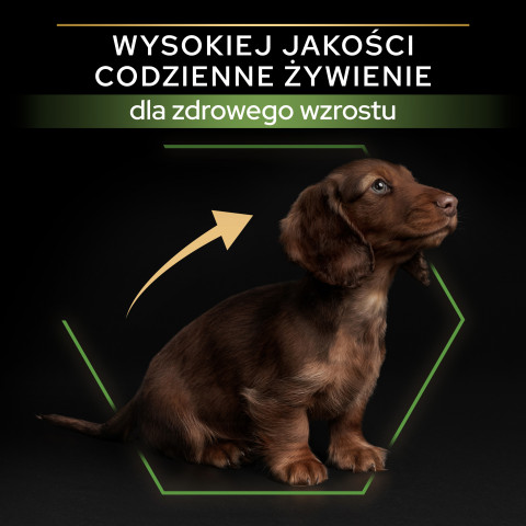 PURINA PRO PLAN Puppy Small & Mini - sucha karma dla szczeniąt - 7kg - Galeria zdjęcie 2