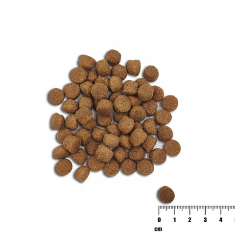 VetExpert Raw Paleo Healthy Grain Salmon&Barley Puppy - Karma sucha dla psów - 2kg - Galeria zdjęcie 3
