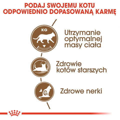 ROYAL CANIN Senior Ageing 12+ Sterilised - sucha karma dla kota - 2 kg - Galeria zdjęcie 7