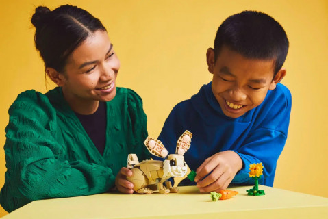 LEGO CREATOR 3w1 31162 Uroczy króliczek - Galeria zdjęcie 10