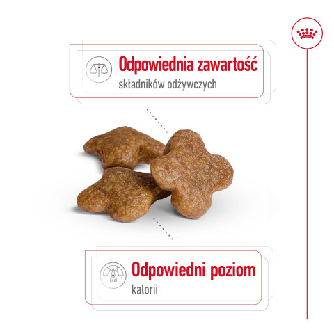 ROYAL CANIN Mini Adult +8 - sucha karma dla psa - 2 kg - Galeria zdjęcie 8