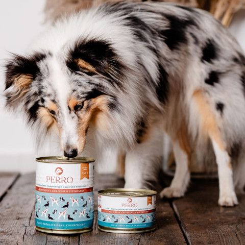 PERRO Wołowina z korzeniem pietruszki - mokra karma dla psa - 850g - Galeria zdjęcie 2