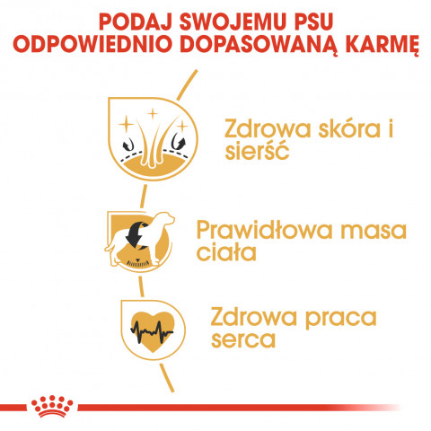 ROYAL CANIN BHN Cocker Adult - sucha karma dla psa dorosłego - 12 kg - Galeria zdjęcie 6