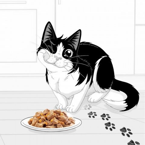 PURINA Felix Fantastic z łososiem w galaretce - mokra karma dla kota - 85 g - Galeria zdjęcie 10