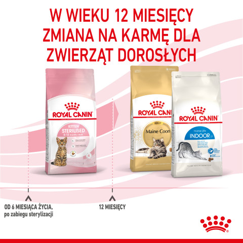 ROYAL CANIN Kitten Sterilised - sucha karma dla kociąt - 3,5 kg - Galeria zdjęcie 11