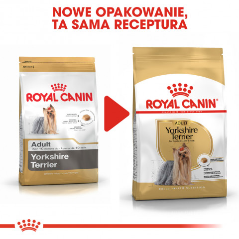 ROYAL CANIN BHN Yorkshire Terrier Adult - sucha karma dla psa dorosłego - 500 g - Galeria zdjęcie 7