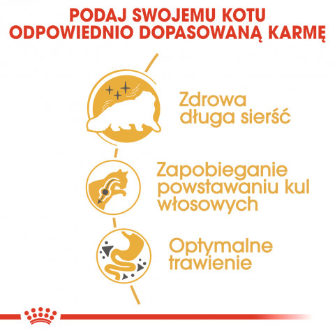Royal Canin FBN Persian Adult - sucha karma dla kota dorosłego - 4 kg - Galeria zdjęcie 8