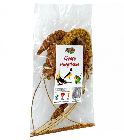 ALEGIA Proso Senegalskie - przysmak dla ptaków i gryzoni - 80 g - Galeria zdjęcie 2