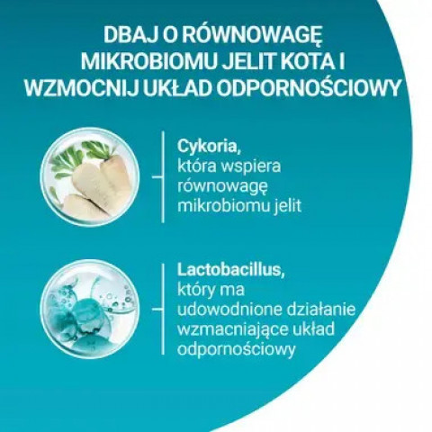 PURINA One Sterilcat Wołowina - sucha karma dla kota - 9,75 kg - Galeria zdjęcie 2