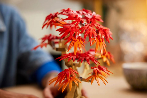 LEGO BOTANICALS 10348 JAPANESE RED MAPLE BONSAI TREE - Galeria zdjęcie 8