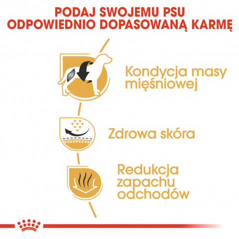 ROYAL CANIN BHN French Bulldog Adult - sucha karma dla psa dorosłego - 9 kg - Galeria zdjęcie 4