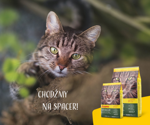 JOSERA NatureCat - sucha karma dla kota - 10kg - Galeria zdjęcie 6