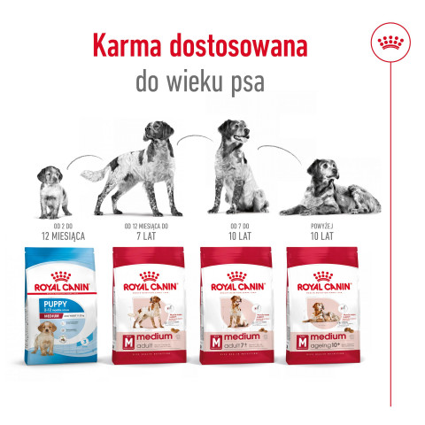 ROYAL CANIN SHN Medium Adult - sucha karma dla psa - 15 kg - Galeria zdjęcie 10