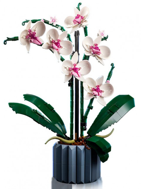 LEGO Icons 10311 Orchidea - Galeria zdjęcie 4