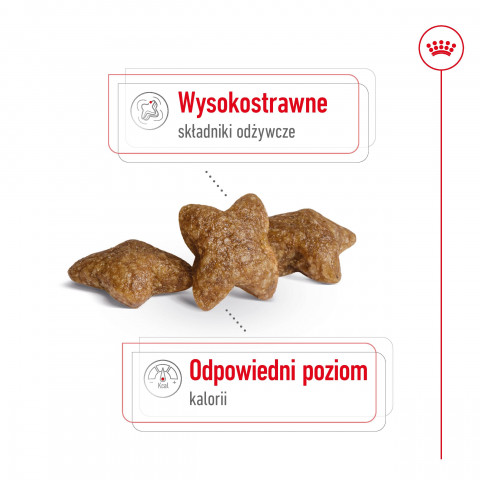 ROYAL CANIN Adult Mini S - sucha karma dla psa - 2 kg - Galeria zdjęcie 7