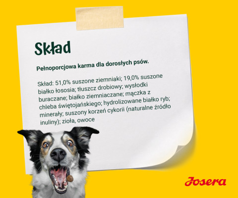 JOSERA Łosoś z ziemniakami - sucha karma dla psa - 12,5kg + GRATIS! - Galeria zdjęcie 10
