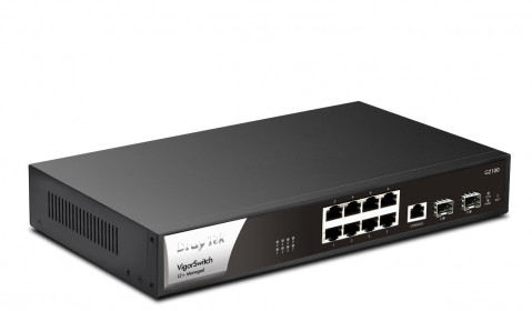 vigorswitchg2100.jpg