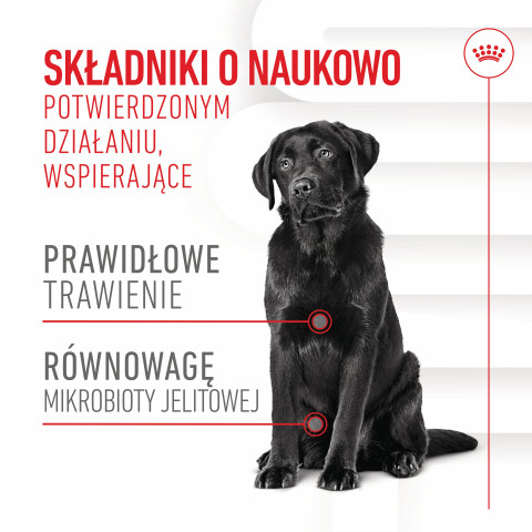 ROYAL CANIN Supplements Dog Digestion Adult - suplementy dla psa - 160g - Galeria zdjęcie 13