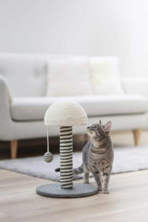 KERBL Funghi Szaro-Biały z piłką - drapak dla kota - 42 cm - Galeria zdjęcie 3