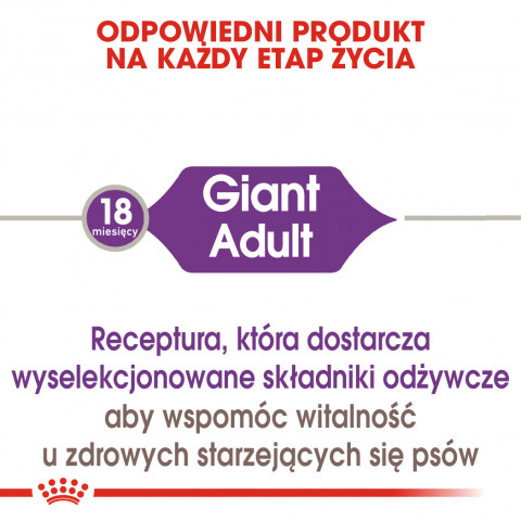 ROYAL CANIN SHN Giant Adult - sucha karma dla psa dorosłego - 15 kg - Galeria zdjęcie 5
