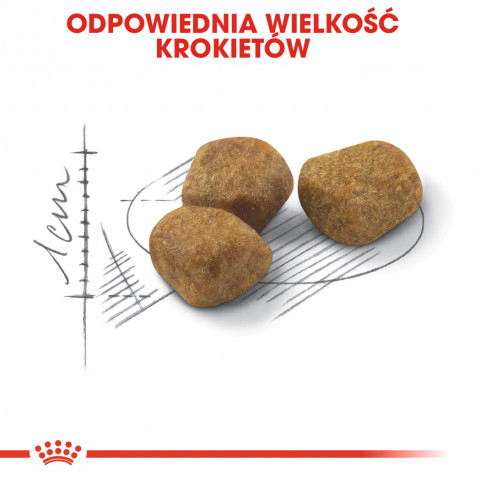 ROYAL CANIN FHN Regular Fit 32 - sucha karma dla kota dorosłego - 2 kg - Galeria zdjęcie 11