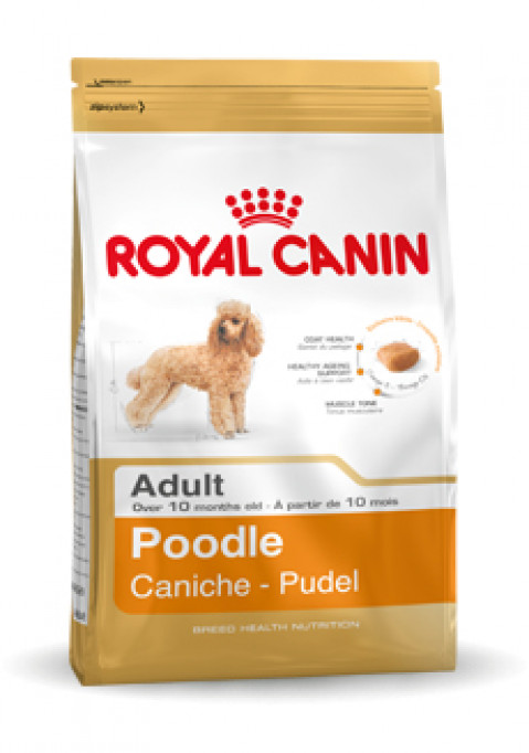 ROYAL CANIN Poodle 1,5kg - Galeria zdjęcie 2