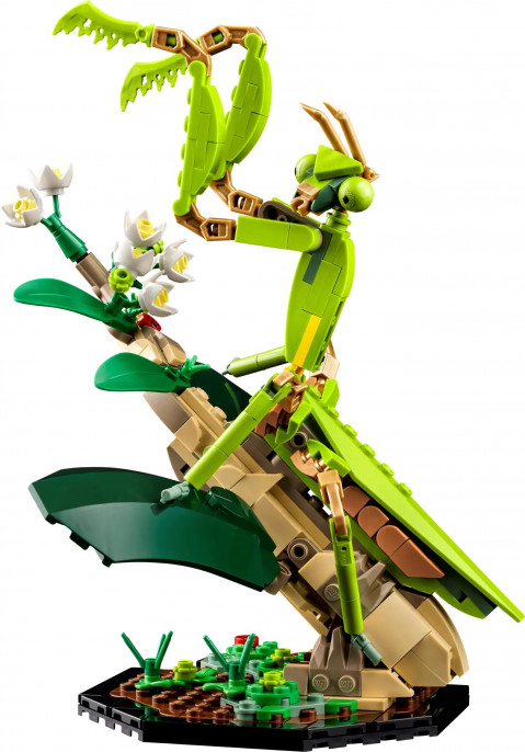 LEGO Ideas 21342 Kolekcja owadów - Galeria zdjęcie 5