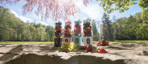 Blender Smoothie bezprzewodowy SM4003 CONCEPT - Galeria zdjęcie 13