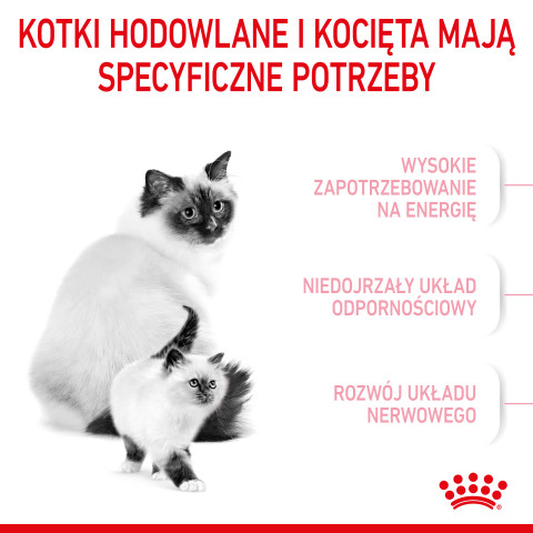 ROYAL CANIN Mother & Babycat 34 2kg - Galeria zdjęcie 6