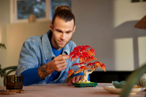 LEGO BOTANICALS 10348 JAPANESE RED MAPLE BONSAI TREE - Galeria zdjęcie 7