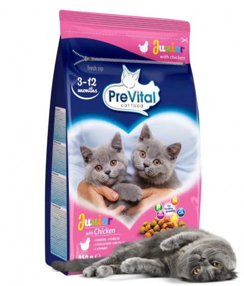 PREVITAL Junior Kurczak - sucha karma dla kota - 950g - Galeria zdjęcie 2