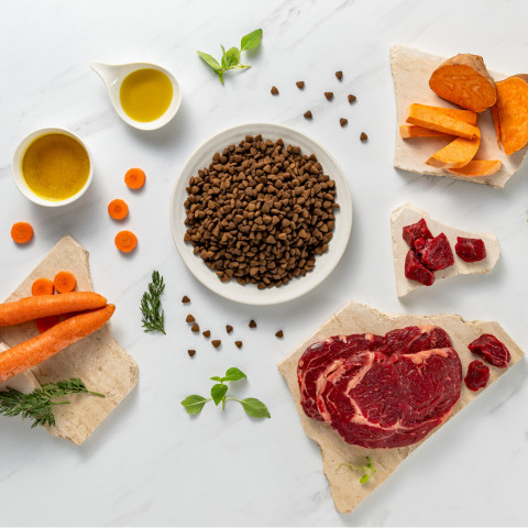VETEXPERT Raw Paleo Ultra Medium&Large Adult Wołowina - sucha karma dla psa - 2kg - Galeria zdjęcie 5