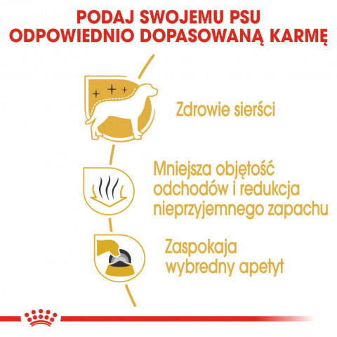 ROYAL CANIN BHN Maltese Adult - sucha karma dla psa dorosłego - 1,5 kg - Galeria zdjęcie 6