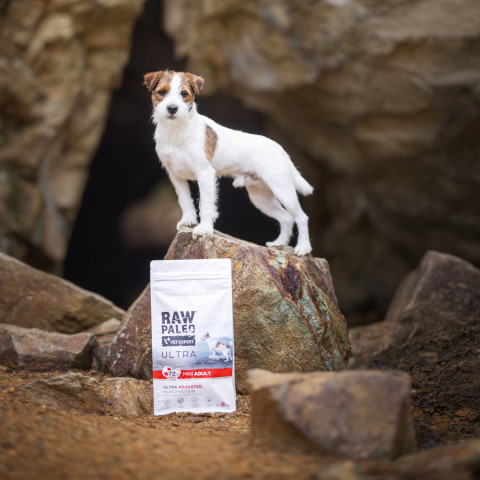 VET EXPERT Raw Paleo Ultra Mini Adult Wołowina - sucha karma dla psa - 2kg - Galeria zdjęcie 8