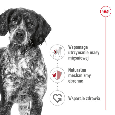 ROYAL CANIN SHN Medium Adult w sosie - mokra karma dla psa dorosłego - 10x140 g - Galeria zdjęcie 8