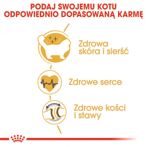 ROYAL CANIN Ragdoll FBN Adult - sucha karma dla kota - 400g - Galeria zdjęcie 5