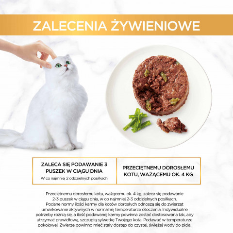 Gourmet Gold Savoury Cake jagnięcina i zielona fasola - mokra karma dla kota - 85 g - Galeria zdjęcie 6
