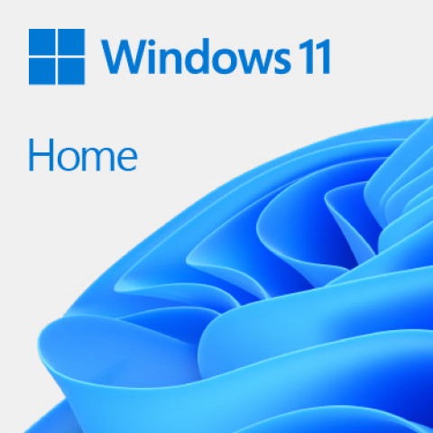 Microsoft Windows 11 Home 64bit PL DVD OEM (KW9-00648) - Galeria zdjęcie 1
