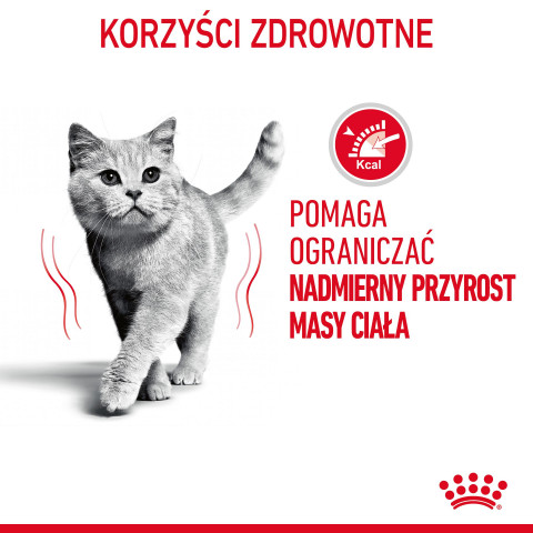 ROYAL CANIN FCN Light Weight Care w galaretce - mokra karma dla kota dorosłego - 12x85g - Galeria zdjęcie 2