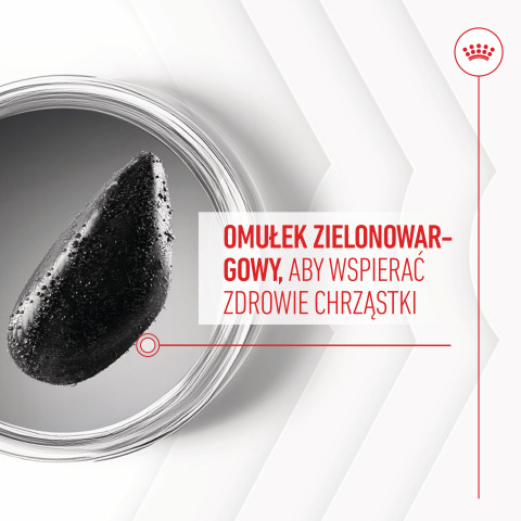 ROYAL CANIN Supplements Dog Joint & Ageing Adult - suplementy dla psa - 240g - Galeria zdjęcie 7