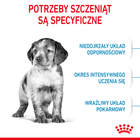 ROYAL CANIN SHN Medium Puppy - sucha karma dla szczeniąt - 4kg - Galeria zdjęcie 3