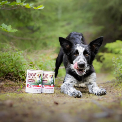VET EXPERT Raw Paleo Puppy Monoprotein Wołowina - mokra karma dla szczeniąt - 400g - Galeria zdjęcie 2