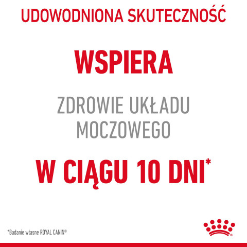 ROYAL CANIN FCN Urinary Care - sucha karma dla kota dorosłego - 2 kg - Galeria zdjęcie 2