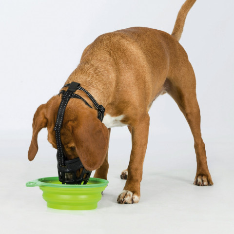 TRIXIE Muzzle Flex - kaganiec dla psa - rozmiar M-L - czarny - Galeria zdjęcie 5